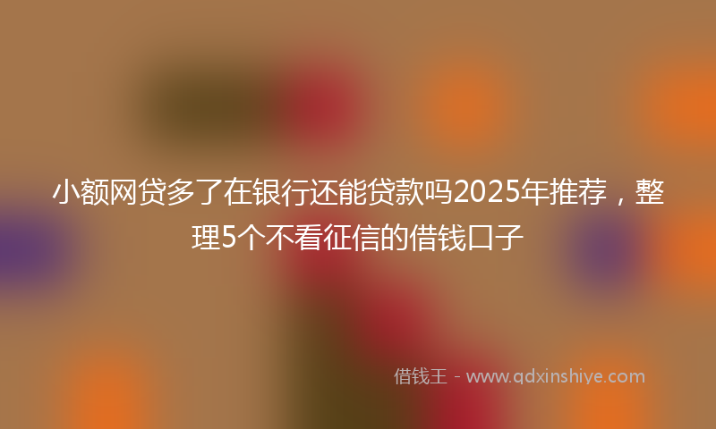 小额网贷多了在银行还能贷款吗2025年推荐，整理5个不看征信的借钱口子