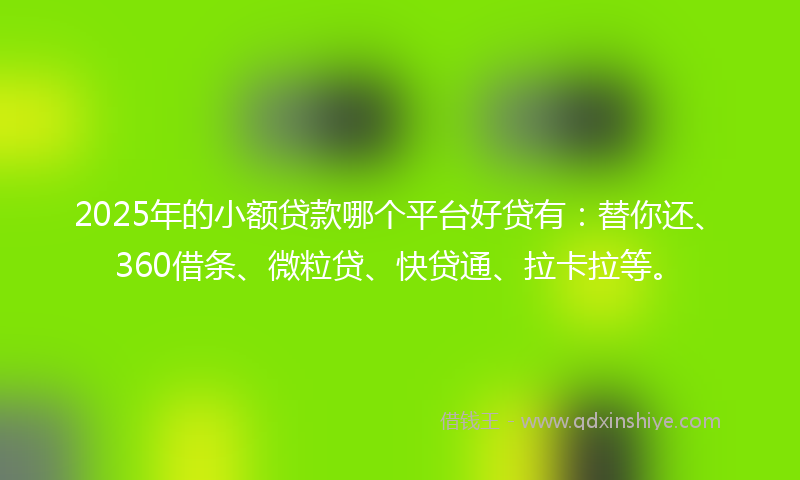 2025年的小额贷款哪个平台好贷有：替你还、360借条、微粒贷、快贷通、拉卡拉等。