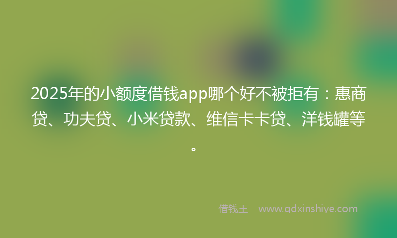 2025年的小额度借钱app哪个好不被拒有：惠商贷、功夫贷、小米贷款、维信卡卡贷、洋钱罐等。
