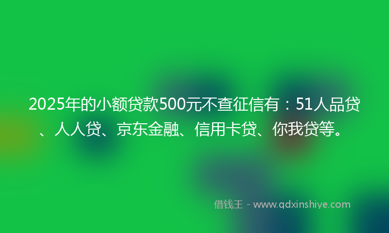 2025年的小额贷款500元不查征信有：51人品贷、人人贷、京东金融、信用卡贷、你我贷等。