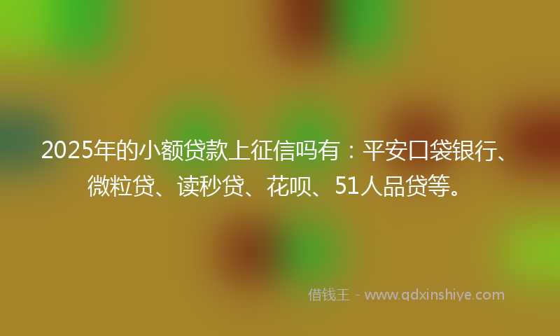 2025年的小额贷款上征信吗有：平安口袋银行、微粒贷、读秒贷、花呗、51人品贷等。
