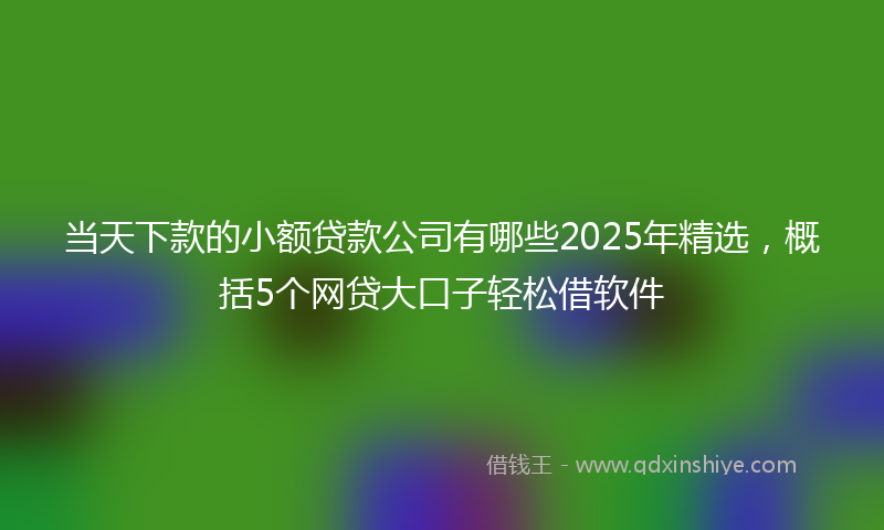 当天下款的小额贷款公司有哪些2025年精选，概括5个网贷大口子轻松借软件