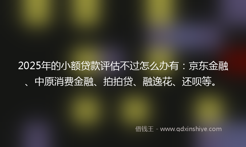 2025年的小额贷款评估不过怎么办有：京东金融、中原消费金融、拍拍贷、融逸花、还呗等。