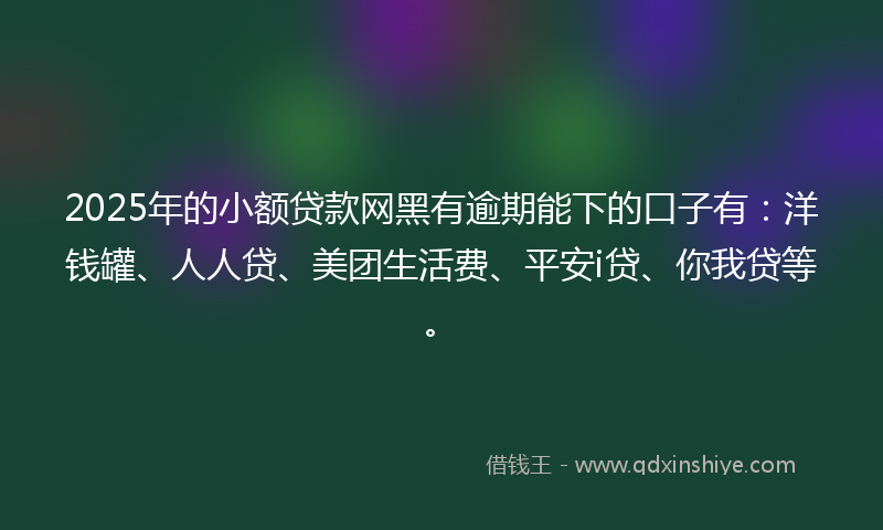 2025年的小额贷款网黑有逾期能下的口子有：洋钱罐、人人贷、美团生活费、平安i贷、你我贷等。