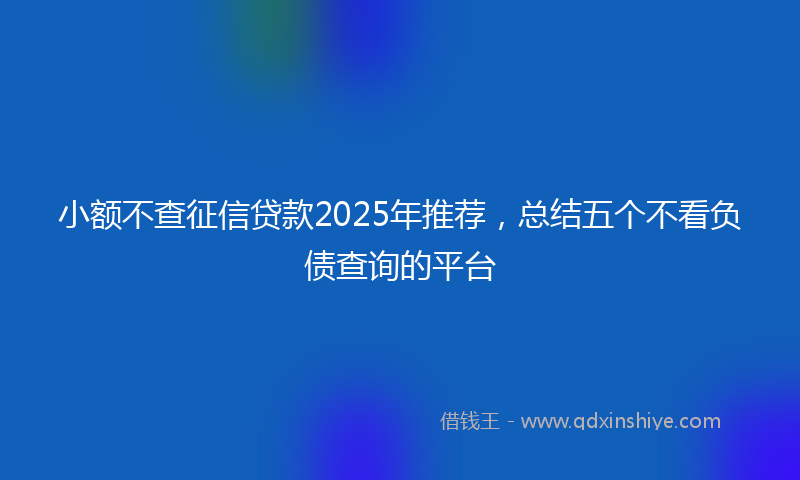 小额不查征信贷款2025年推荐，总结五个不看负债查询的平台