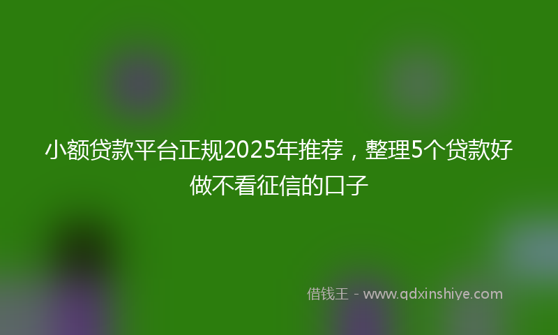 小额贷款平台正规2025年推荐，整理5个贷款好做不看征信的口子