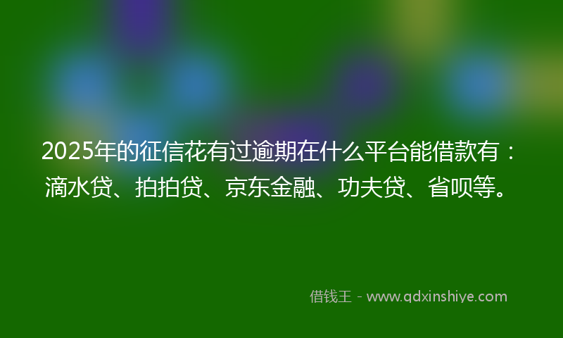 2025年的征信花有过逾期在什么平台能借款有：滴水贷、拍拍贷、京东金融、功夫贷、省呗等。