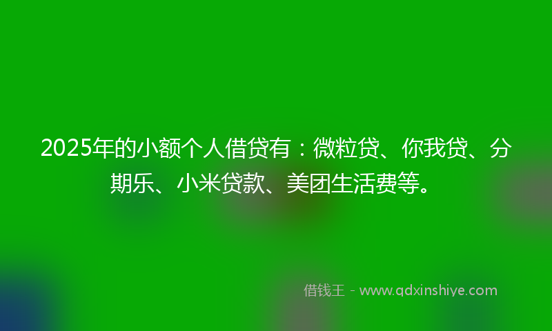 2025年的小额个人借贷有：微粒贷、你我贷、分期乐、小米贷款、美团生活费等。