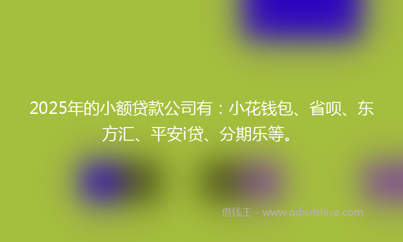 2025年的小额贷款公司有：小花钱包、省呗、东方汇、平安i贷、分期乐等。