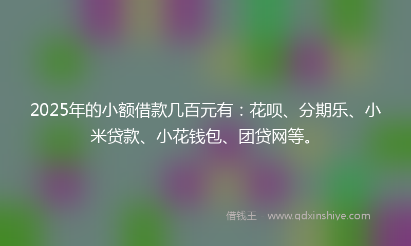 2025年的小额借款几百元有：花呗、分期乐、小米贷款、小花钱包、团贷网等。