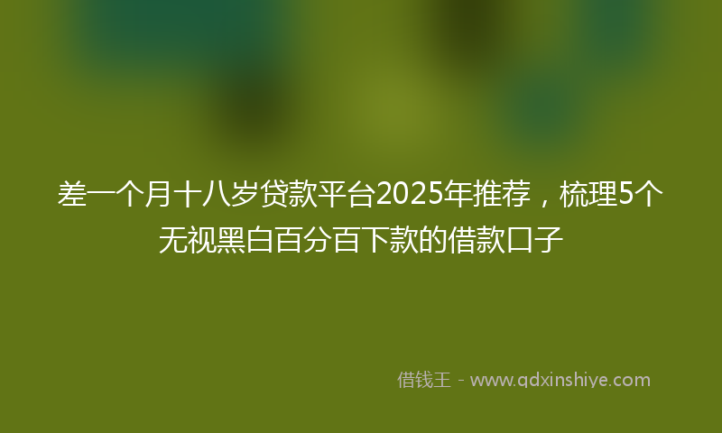 差一个月十八岁贷款平台2025年推荐，梳理5个无视黑白百分百下款的借款口子