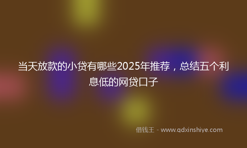 当天放款的小贷有哪些2025年推荐，总结五个利息低的网贷口子
