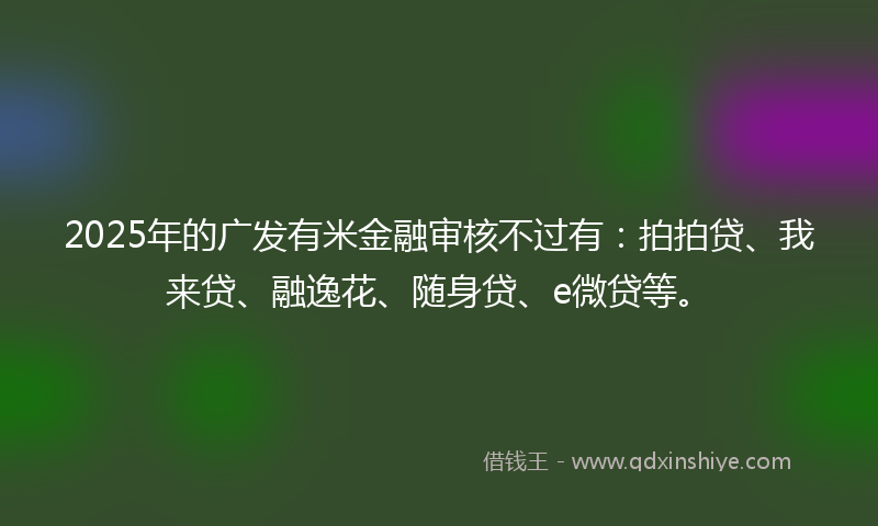 2025年的广发有米金融审核不过有：拍拍贷、我来贷、融逸花、随身贷、e微贷等。