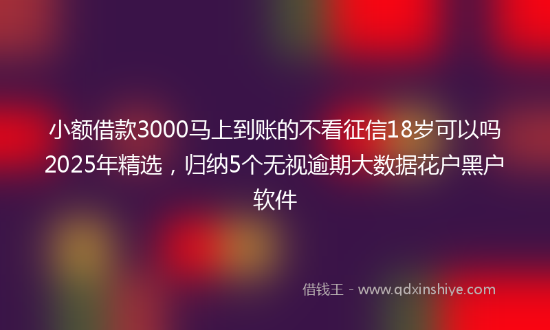 小额借款3000马上到账的不看征信18岁可以吗2025年精选，归纳5个无视逾期大数据花户黑户软件