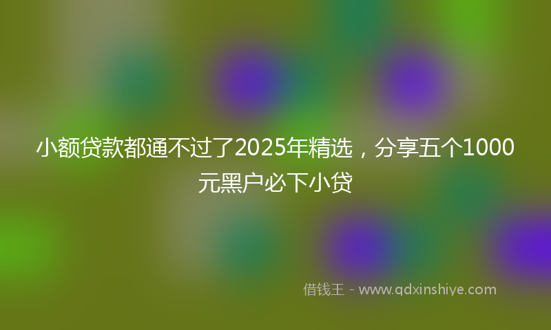 小额贷款都通不过了2025年精选，分享五个1000元黑户必下小贷