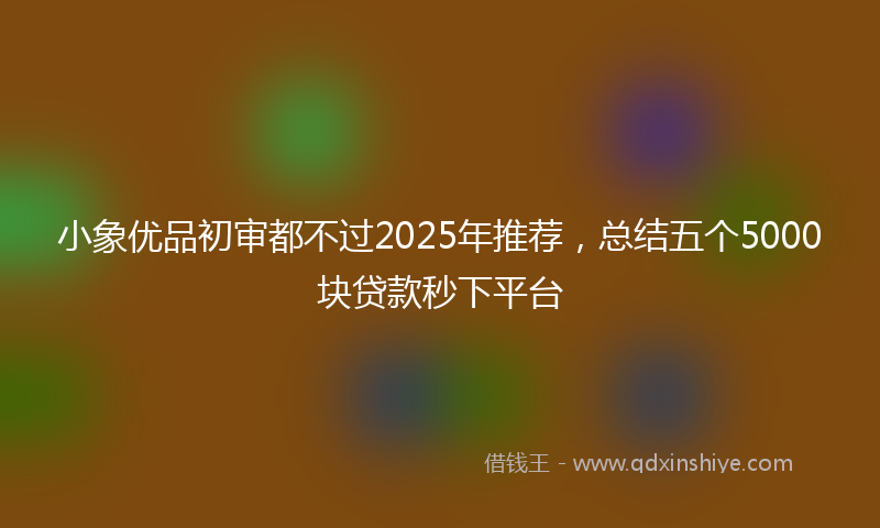 小象优品初审都不过2025年推荐，总结五个5000块贷款秒下平台