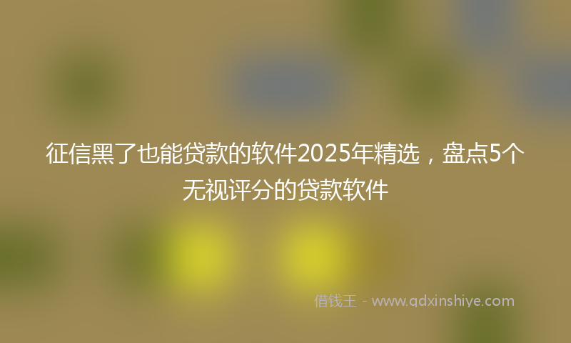 征信黑了也能贷款的软件2025年精选，盘点5个无视评分的贷款软件