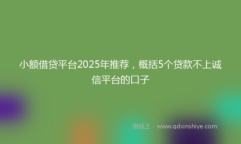 小额借贷平台2025年推荐，概括5个贷款不上诚信平台的口子