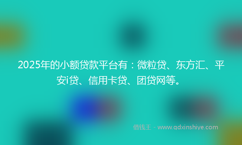 2025年的小额贷款平台有：微粒贷、东方汇、平安i贷、信用卡贷、团贷网等。