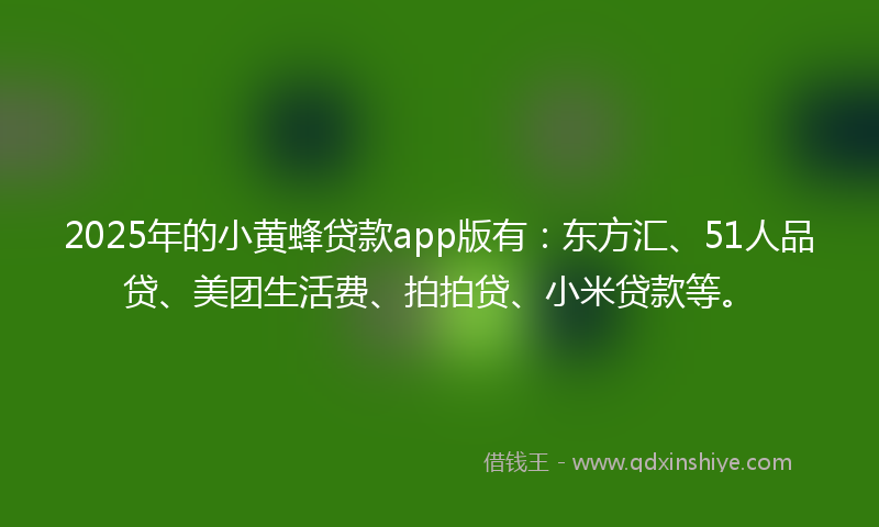 2025年的小黄蜂贷款app版有：东方汇、51人品贷、美团生活费、拍拍贷、小米贷款等。