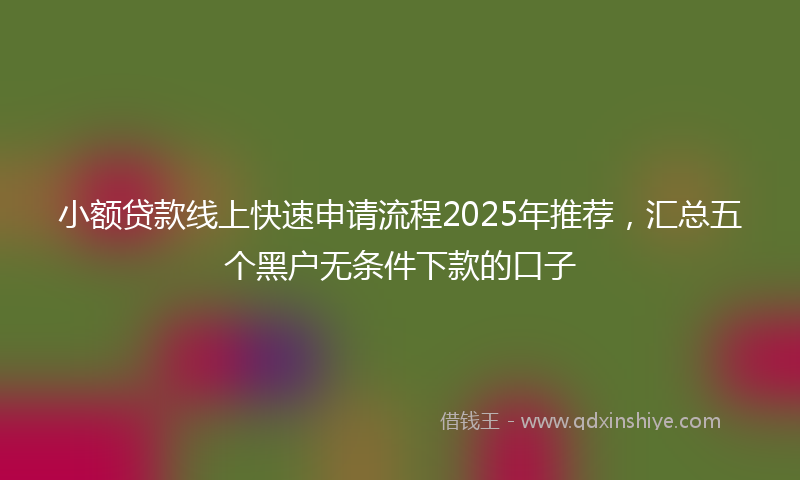 小额贷款线上快速申请流程2025年推荐，汇总五个黑户无条件下款的口子