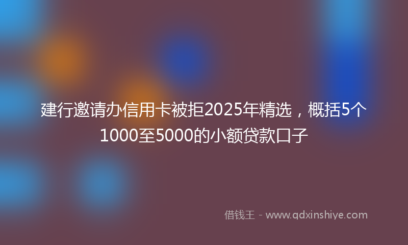 建行邀请办信用卡被拒2025年精选，概括5个1000至5000的小额贷款口子