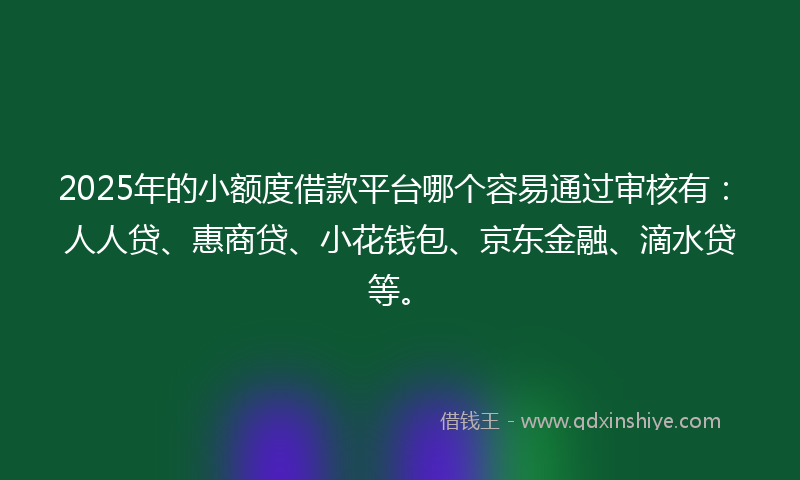 2025年的小额度借款平台哪个容易通过审核有：人人贷、惠商贷、小花钱包、京东金融、滴水贷等。