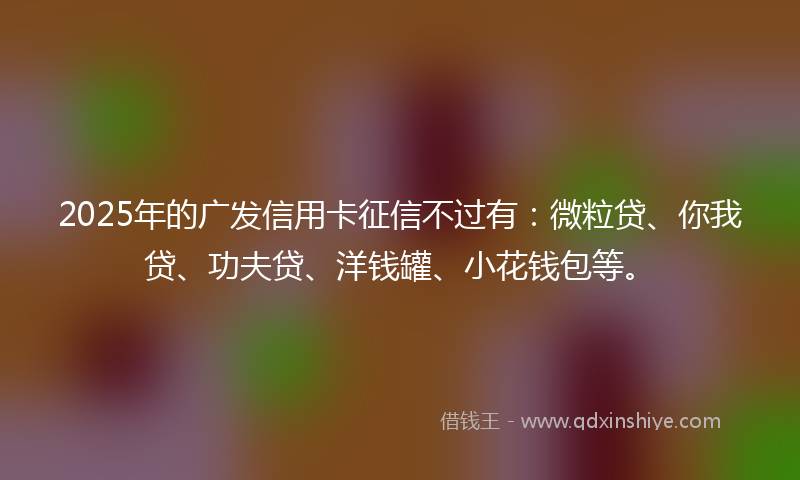 2025年的广发信用卡征信不过有：微粒贷、你我贷、功夫贷、洋钱罐、小花钱包等。