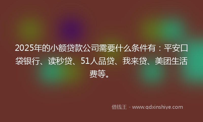 2025年的小额贷款公司需要什么条件有：平安口袋银行、读秒贷、51人品贷、我来贷、美团生活费等。