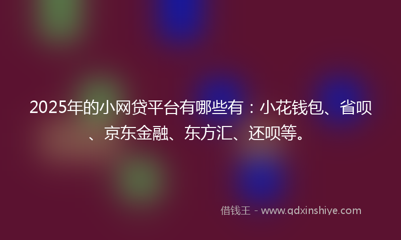 2025年的小网贷平台有哪些有：小花钱包、省呗、京东金融、东方汇、还呗等。