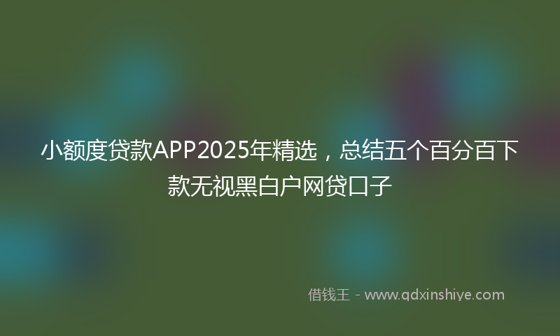 小额度贷款APP2025年精选，总结五个百分百下款无视黑白户网贷口子