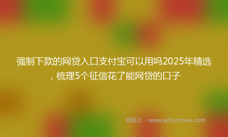 强制下款的网贷入口支付宝可以用吗2025年精选，梳理5个征信花了能网贷的口子