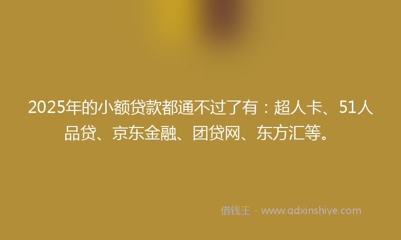 2025年的小额贷款都通不过了有：超人卡、51人品贷、京东金融、团贷网、东方汇等。