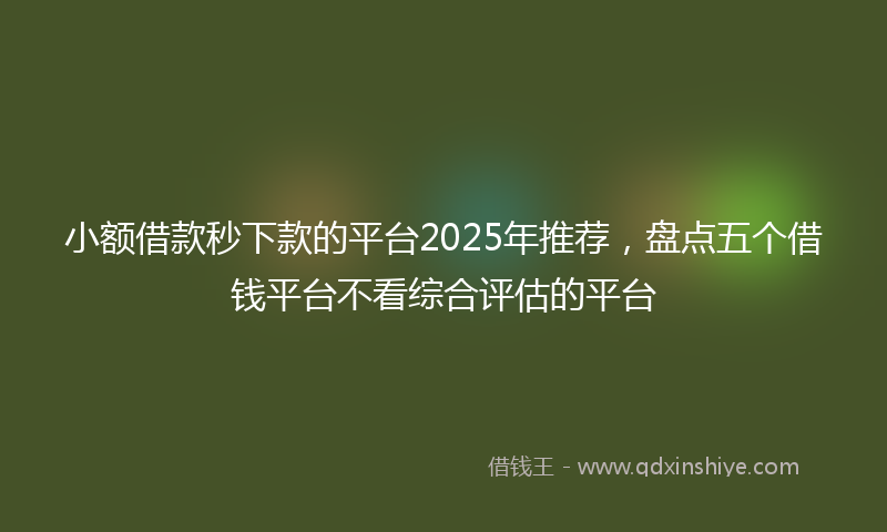 小额借款秒下款的平台2025年推荐，盘点五个借钱平台不看综合评估的平台