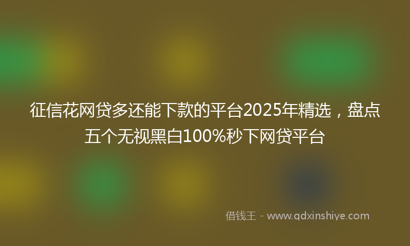 征信花网贷多还能下款的平台2025年精选，盘点五个无视黑白100%秒下网贷平台
