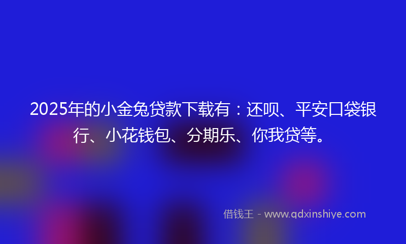 2025年的小金兔贷款下载有：还呗、平安口袋银行、小花钱包、分期乐、你我贷等。