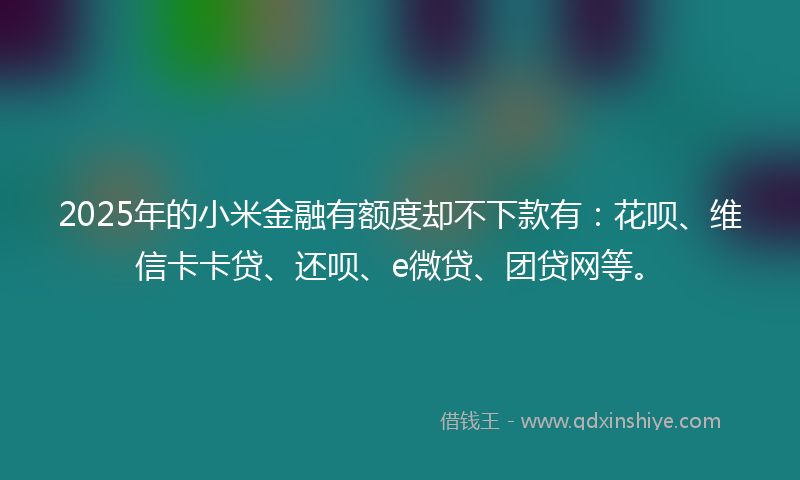2025年的小米金融有额度却不下款有：花呗、维信卡卡贷、还呗、e微贷、团贷网等。