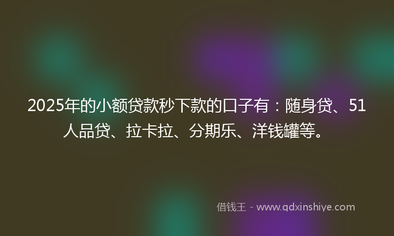 2025年的小额贷款秒下款的口子有：随身贷、51人品贷、拉卡拉、分期乐、洋钱罐等。