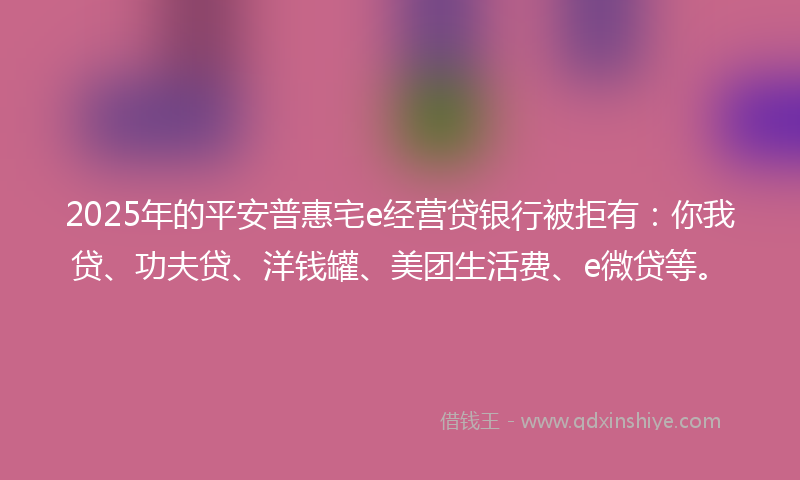 2025年的平安普惠宅e经营贷银行被拒有：你我贷、功夫贷、洋钱罐、美团生活费、e微贷等。