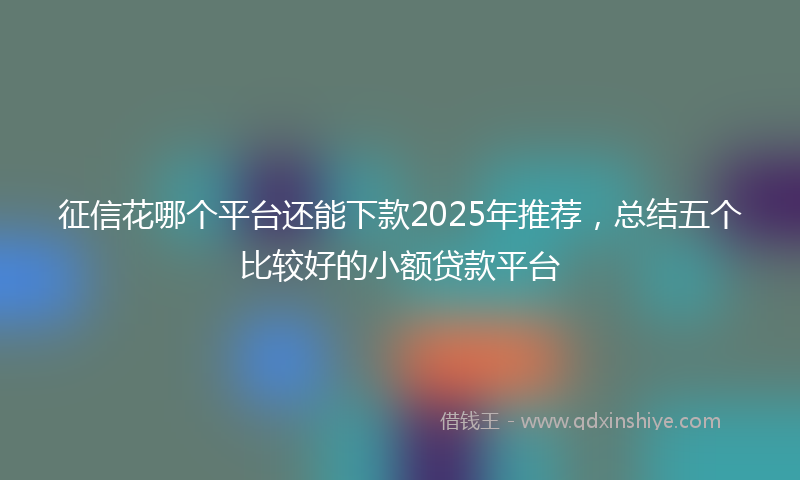 征信花哪个平台还能下款2025年推荐，总结五个比较好的小额贷款平台