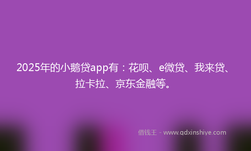2025年的小鹅贷app有：花呗、e微贷、我来贷、拉卡拉、京东金融等。