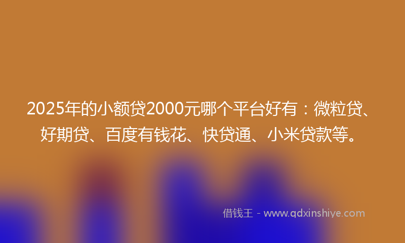 2025年的小额贷2000元哪个平台好有：微粒贷、好期贷、百度有钱花、快贷通、小米贷款等。