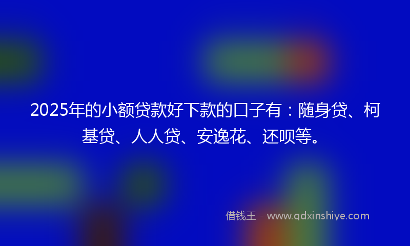 2025年的小额贷款好下款的口子有：随身贷、柯基贷、人人贷、安逸花、还呗等。