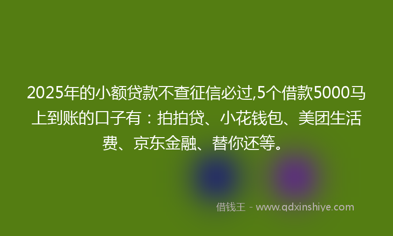 2025年的小额贷款不查征信必过,5个借款5000马上到账的口子有：拍拍贷、小花钱包、美团生活费、京东金融、替你还等。