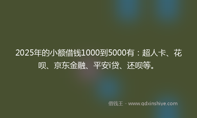 2025年的小额借钱1000到5000有：超人卡、花呗、京东金融、平安i贷、还呗等。