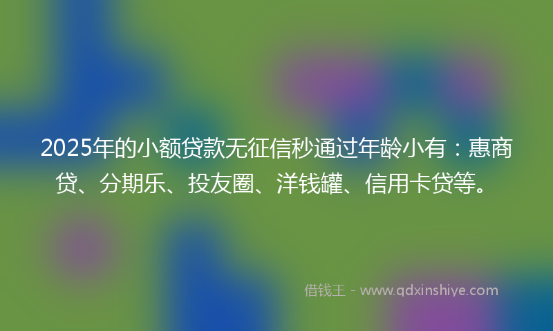 2025年的小额贷款无征信秒通过年龄小有：惠商贷、分期乐、投友圈、洋钱罐、信用卡贷等。