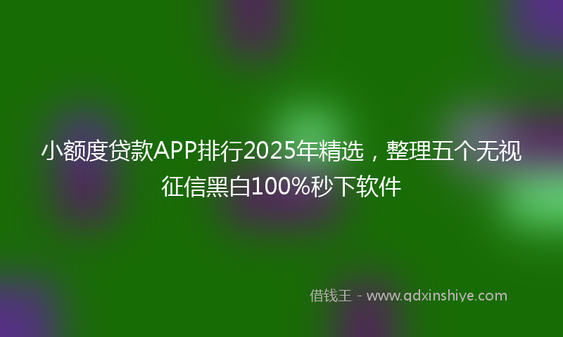 小额度贷款APP排行2025年精选，整理五个无视征信黑白100%秒下软件