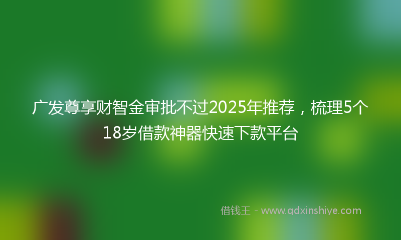 广发尊享财智金审批不过2025年推荐，梳理5个18岁借款神器快速下款平台
