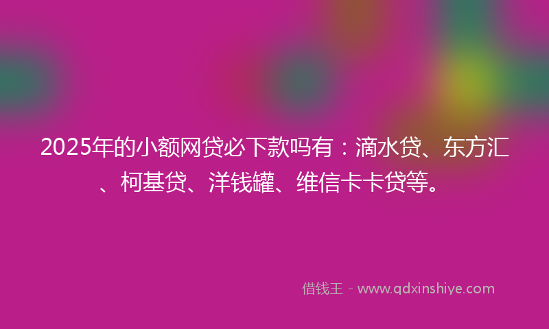 2025年的小额网贷必下款吗有：滴水贷、东方汇、柯基贷、洋钱罐、维信卡卡贷等。