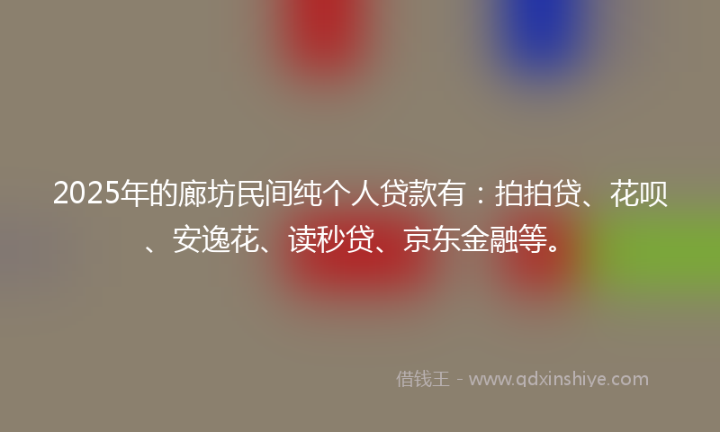 2025年的廊坊民间纯个人贷款有：拍拍贷、花呗、安逸花、读秒贷、京东金融等。